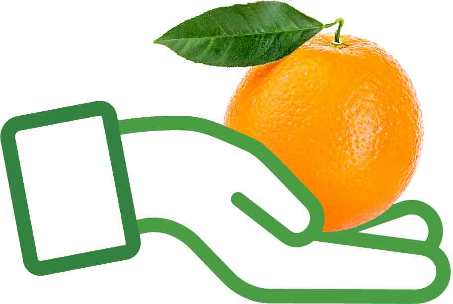 logistics image